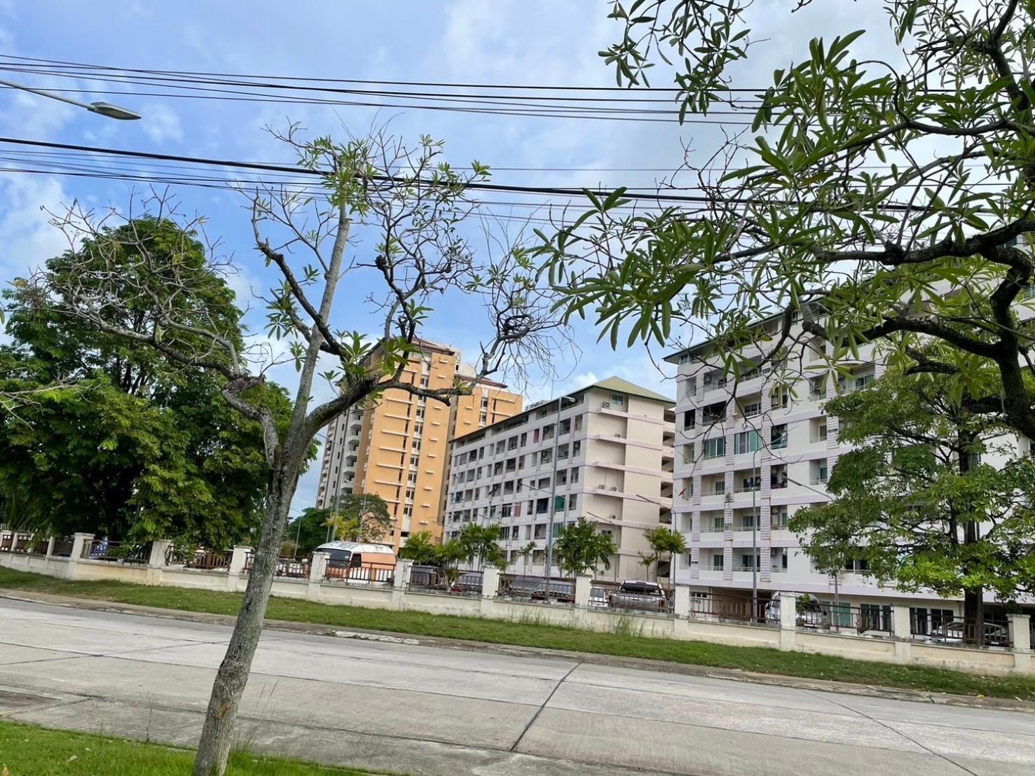 Apartamento Town 2 Bedroom With Balcony-cats Friendly